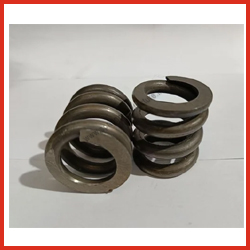 Valve Spring